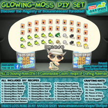 Load image into Gallery viewer, Seasonal DIY Pack - Glowing Moss Set
